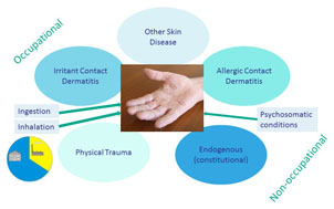 Origin of a Skin Problem