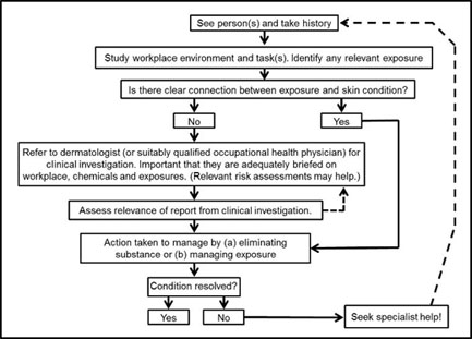 Investigation flow chart